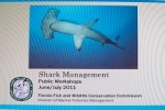 Florida Shark Management – Public Workshops June/July 2011