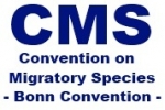 CMS: Proposal for Inclusion of Giant Manta Ray in Appendix I and II