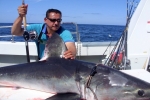 Fisherman lands big Shark off Donegal Ireland