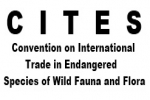 CITES: 26th Animal Committee Meeting