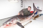 Record Porbeagle Shark in Denmark