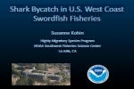Shark Bycatch in U.S. West Coast Swordfish Fisheries