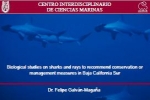 Biological studies on sharks and rays in Mexico