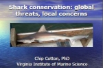 C. Cotton: Shark conservation – global threats, local concerns