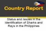 Country Report on Sharks and Rays in the Philippines