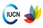Shark Motion presented to the IUCN World Conservation Congress 2012