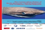 Shark and Ray Conservation Status Revealed in New Expert Report