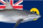 Western Australia: Funding for innovative shark deterrents