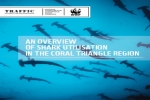 Poor fisheries management endangers sharks in the Coral Triangle