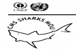 CMS Sharks Memorandum of Understanding