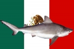 Fatal Shark Attack in Mexico