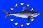 European Commission adopts report on the implementation of the updated shark finning Regulation