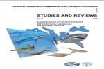 Mediterranean and Black Sea sharks risk extinction