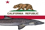 California: Fishing Industry Joins Legal Battle Against Shark Fin Ban