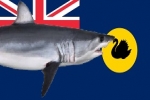 Western Australia: SHARKSMART website now online