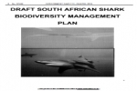 South Africa: Draft Shark Management Plan Unveiled