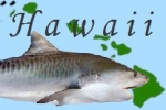 Hawaii: Boat Crewman Charged for Feeding Sharks
