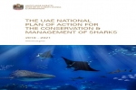 UAE announces new Shark Protection Plan
