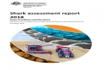 AUS Shark assessment report  2018