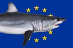 European Commission registers ‘Stop Finning – Stop the trade’ initiative