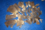 Sri Lanka: 08 persons apprehended with a stock of shark fins