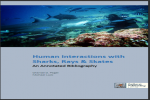 Human Interactions with Sharks, Rays & Skates