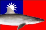 Taiwan: Heavy fines for shark finning and retention of prohibited species