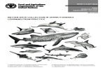 FAO: Better data collection in shark fisheries