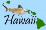 Man reports shark bite off Kaanapali, Hawaii