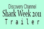 Shark Week July 31, 2011 | Show Me Your Teeth