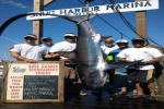 Snug Harbor Shark Tournament 2011