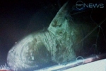 Australia Shark Alert ! 2.5 m Bull Shark caught in Noosa Waters canals