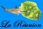 Another Shark Attack in Reunion