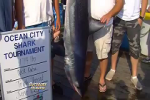 Ocean City Shark Tournament Video (2011)