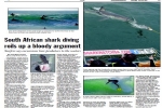 Article: South African shark diving roils up a bloody argument