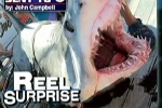 Woman reels in massive mako shark in Massachusetts