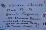 San Diego Great White Shark Sighting and Beach Closure