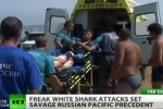 Shark attacks shock Russia