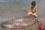 Aug 2011 – Sixgill shark caught in Turkey