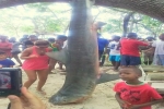 Seychelles takes action to prevent shark attacks