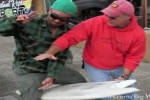 Oregon Surfer, Bobby Gumm Has Dramatic White Shark Encounter 10-20-11