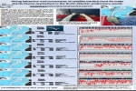 Satellite tracked mako sharks in North Atlantic