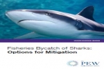 Fisheries Bycatch of Sharks
