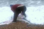 UK woman rescues shark