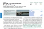BC Spiny Dogfish – Fisheries in Transition