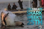 Shark Week 2012 on Discovery