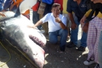 Mexican Fisherman lands Great White Shark