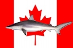Canada: May’s bill would end shark fin sales