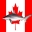 Canadian Company Fined for Import of Silky Shark Fins