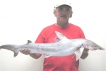 Angler Sets New Mississippi State Record for Bonnethead Shark